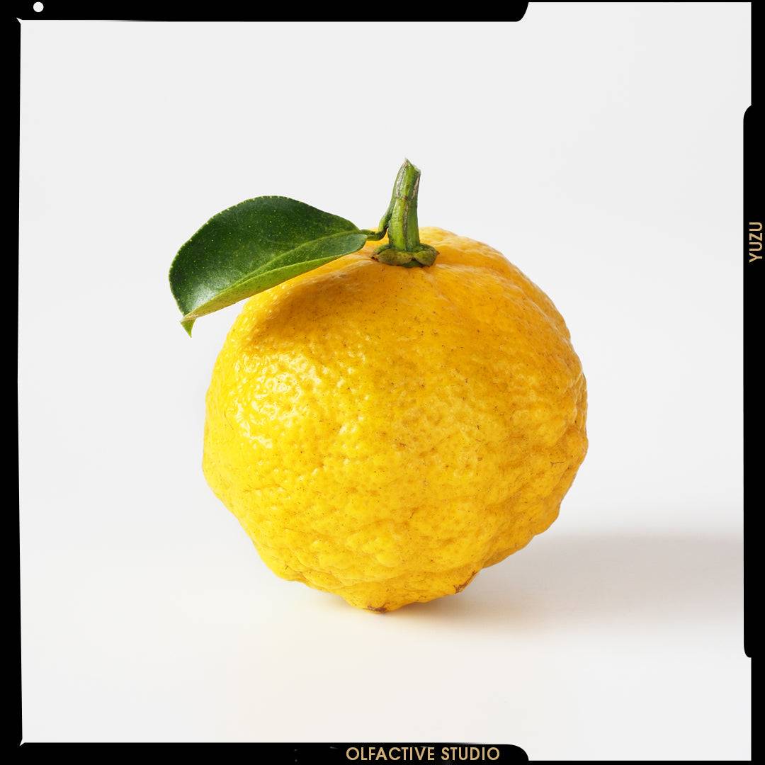 Yuzu, the sparkly explosion of Still Life in Rio and Still Life